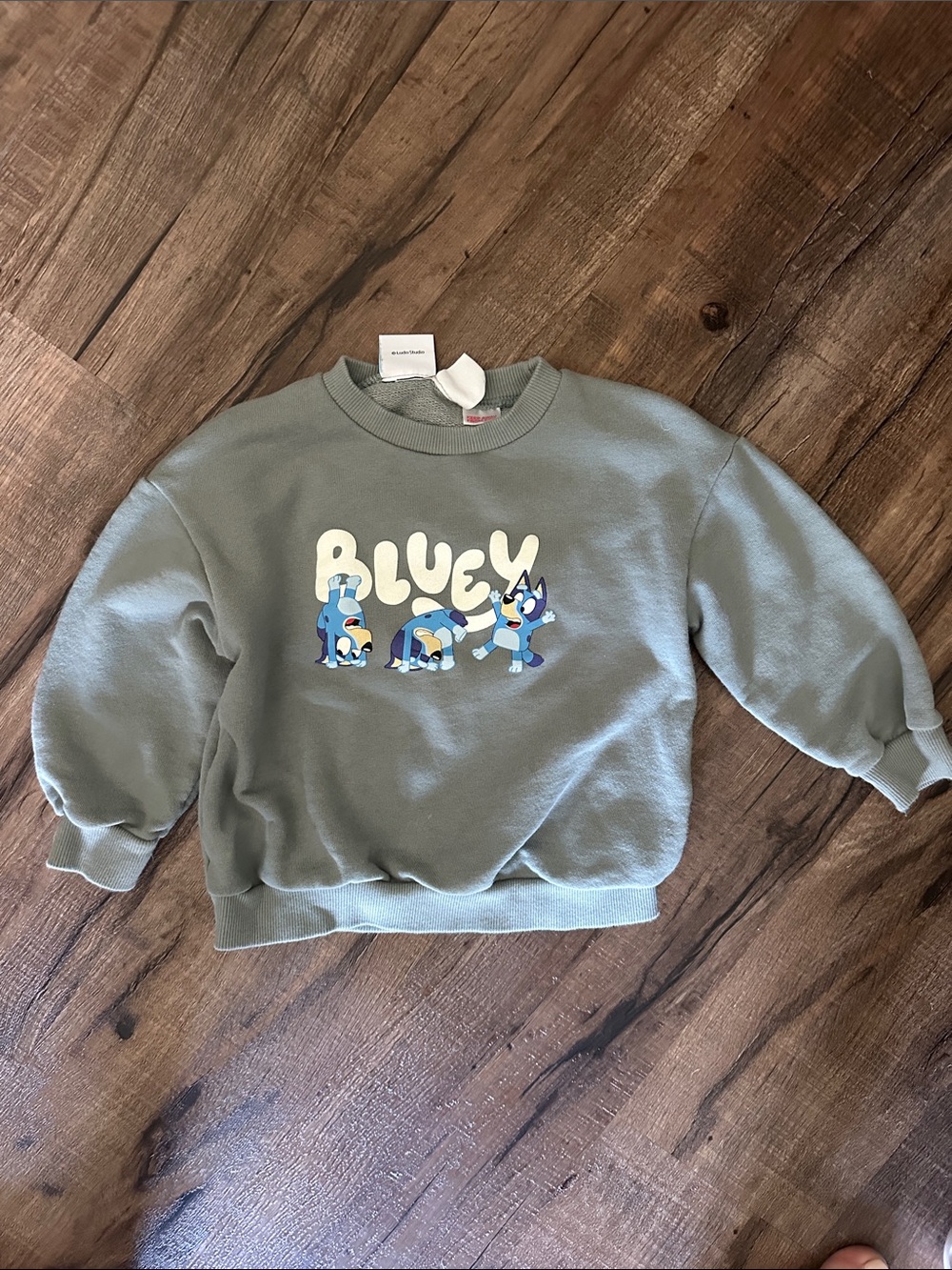 Zara Light Sage Green "Bluey" Graphic Pullover